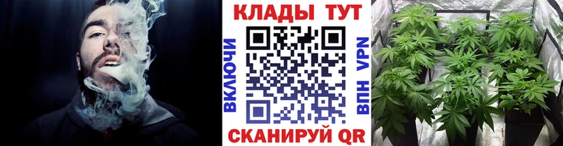 Купить наркотики сайты Лесной Бошки Шишки  АМФЕТАМИН  MDMA  Alpha-PVP  ГАШИШ  МЕФ  COCAIN 