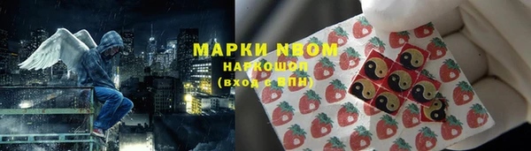 СК Балахна