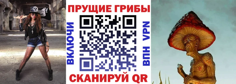 хочу   Лесной  Галлюциногенные грибы Psilocybine cubensis 